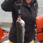 Steelhead