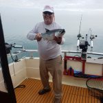 Lake Ontario Salmon