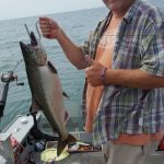 Salmon