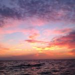 1st Choice Fishing Charters.com