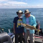 Walleye