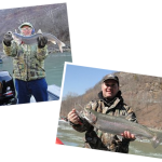Steelhead